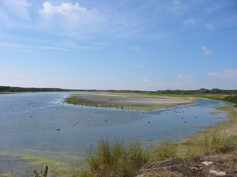 File:Marquenterre, France.JPG