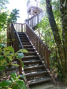 Motuara Island lookup tower.jpg