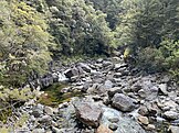 Sams Creek from the Cobb Road bridge