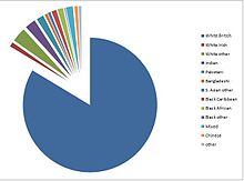 Pie chart with main body in blue and multiple smaller segments in other colours.