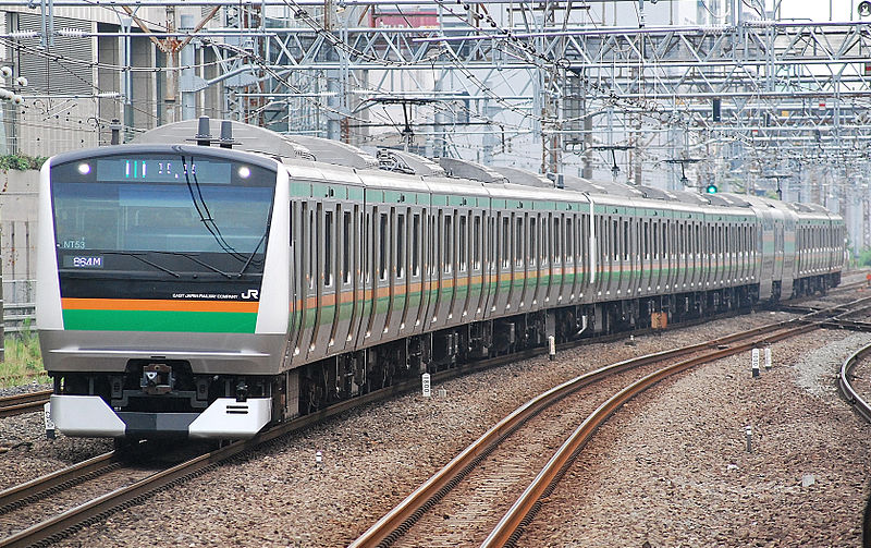 File:E233-3000 tokaido main line.JPG