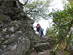 北嶺登山道（九合目）