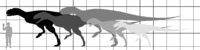 Old Carnotaurini size diagram