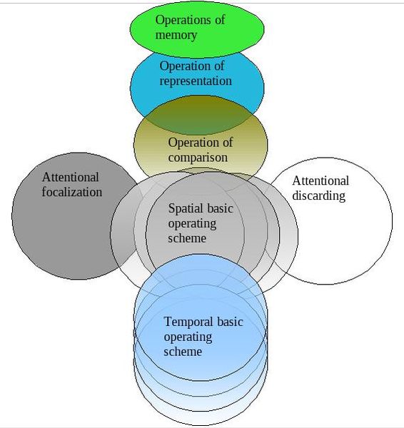 File:Cognitive operations.jpg