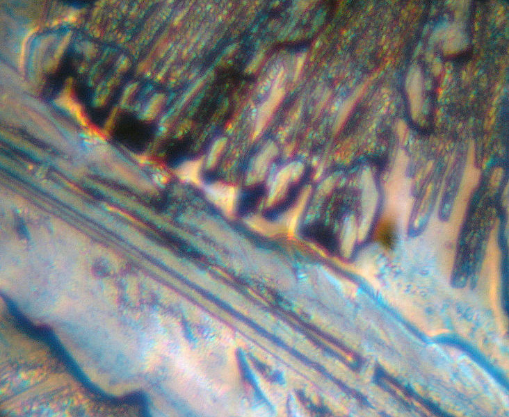 File:Copper sulphate crystals.JPG