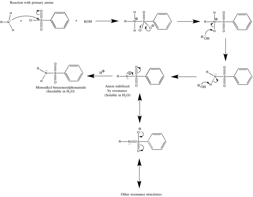 PhSO2Cl + 2 RR'NH → PhSO2NRR' + [RR'NH2+]Cl−