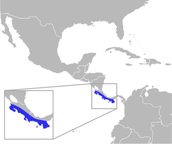 Distribución geográfica del saltarín cuellinaranja.