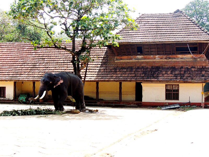 File:Punnathoor Anakotta,Kottapadi Guruvayur.JPG