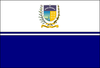 Flag of Água Branca, Paraíba