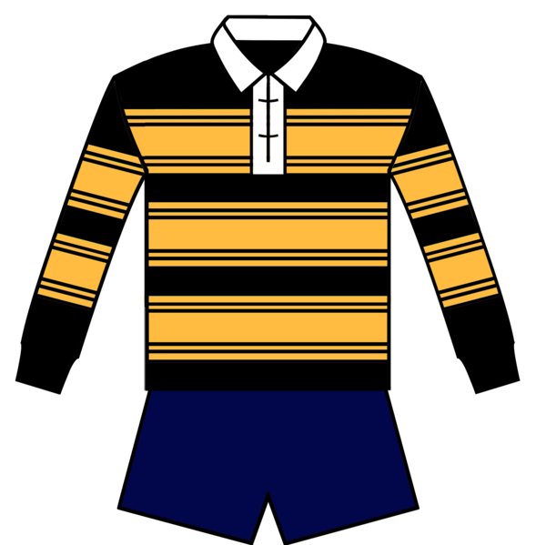 File:Balmain Jersey 1930.png