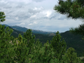 Black Hills in Custer State Park