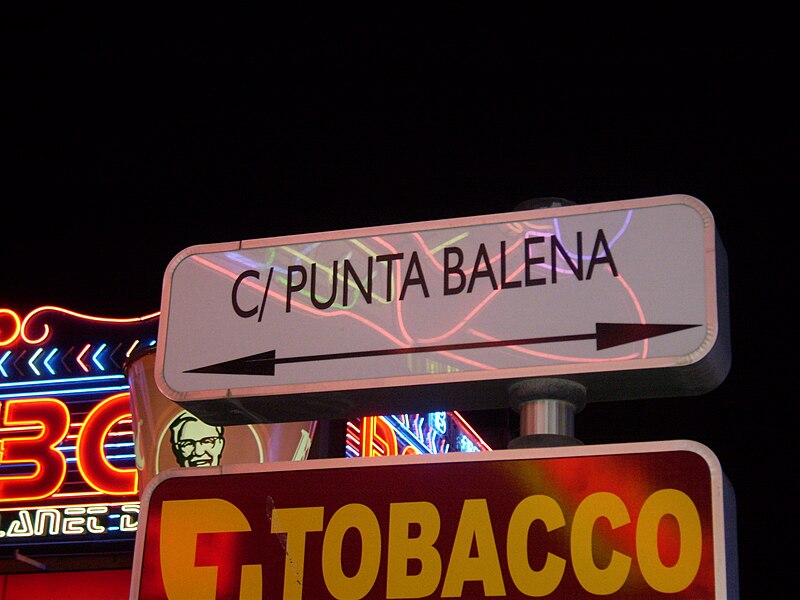 Archivo:Cartel calle Punta Ballena.jpg