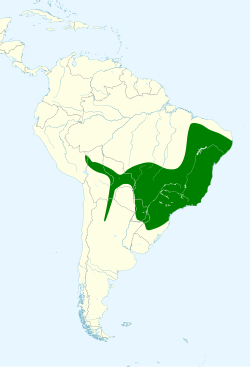 Distribución geográfica del pibí tropical sureño.