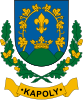 Coat of arms of Kapoly