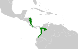 Distribución geográfica del tororoí de anteojos.