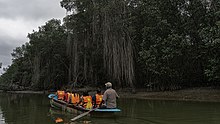 Manglares de Tumbes.jpg