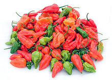 Fresh Bhut Jolokia