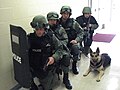 SWAT and Tactical K-9