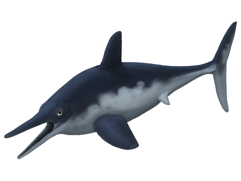 File:Ophthalmosaurus icenicus updated reconstruction.png