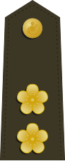 File:Taiwan-Marine-OF-4.svg