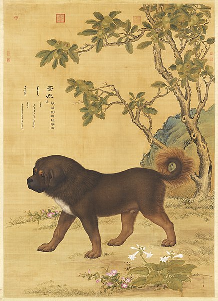 File:Ten Prized Dogs 03.jpg