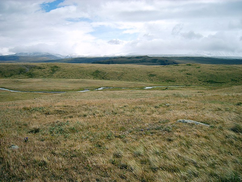 Файл:Ukok Plateau.jpg