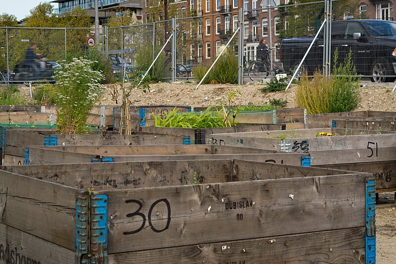 File:Urban agriculture in Amsterdam.jpg