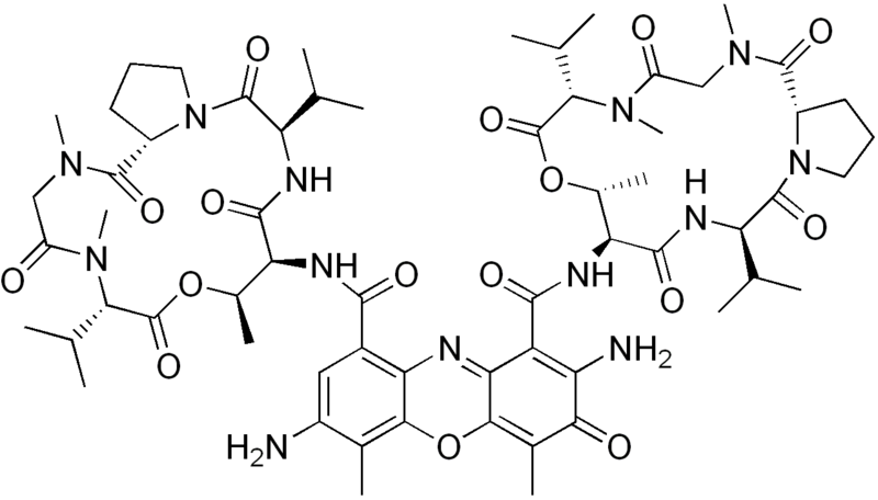 File:7-Aminoactinomycin D.png