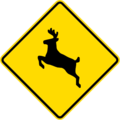 Wild animals crossing