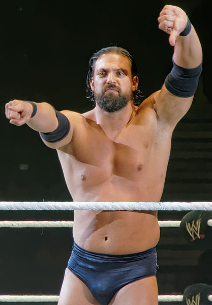 Файл:Damien sandow.jpg