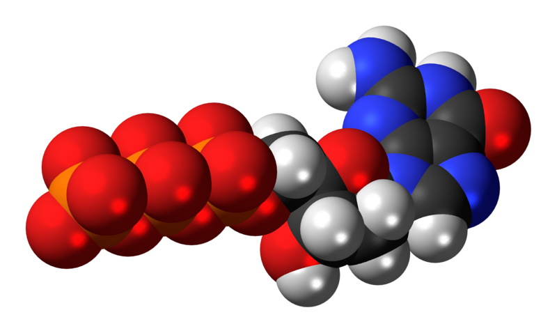 File:Deoxyguanosine-triphosphate-anion-3D-spacefill.png