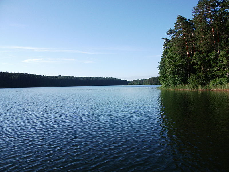 Файл:Douzhyna Lake 2.JPG