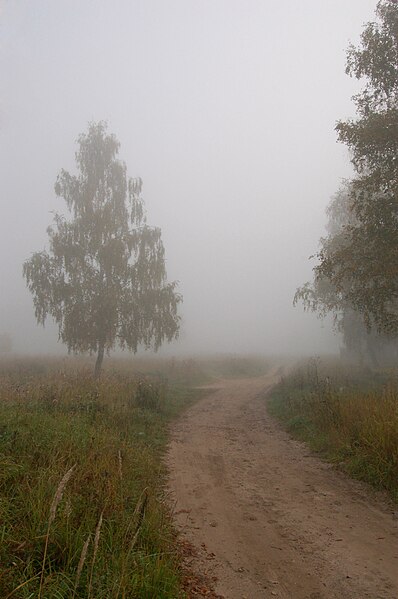 Файл:Fog in Moscow Oblast.jpg