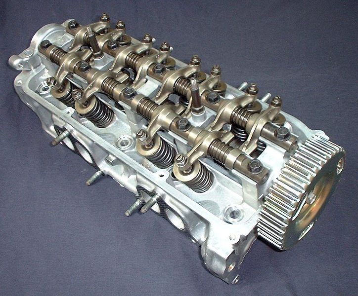 File:Head D15A3.JPG