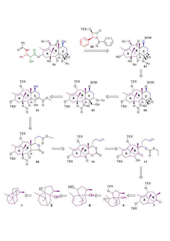 Holton taxol total synthesis retrosynthesis