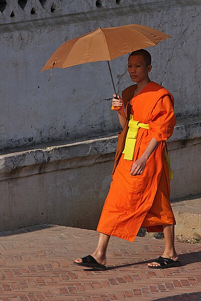 File:LaoWalkingMonk.jpg