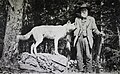 Last eastern wolf to be killed in the Adirondacks (1893)