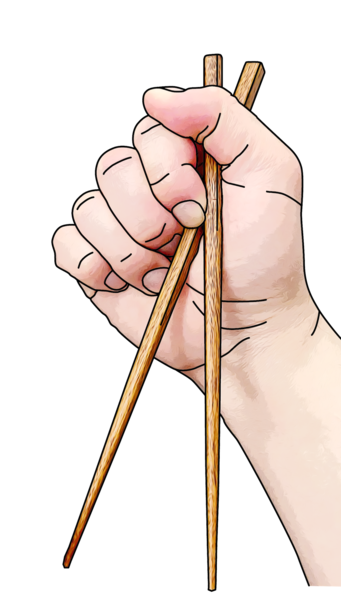 File:Marcosticks-Scissorhand grip-using chopsticks.png