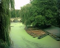 The River Cam as it flows past the back of Trinity, Trinity Bridge is visible and the punt house is to the right of the moored punts