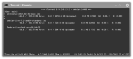 Скриншот программы RTorrent