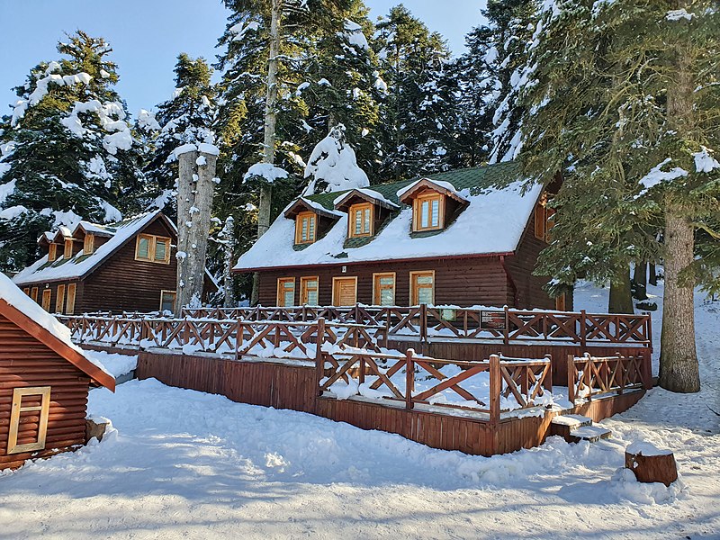 File:Snowy wooden house.jpg