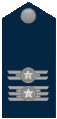 Insignia de teniente coronel de la Fuerza Aérea Brasileña.