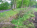 The old Ha-ha (garden) at Lainshaw near the Chalybeate spring and the Chapelburn.