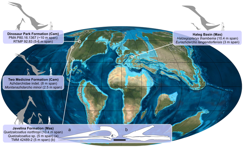 File:Azhdarchid map.png