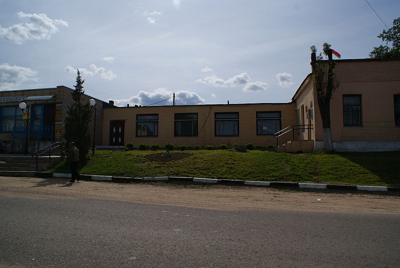 File:Library in Shatsk.JPG