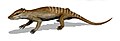 Name:Yanoconodon Time:Early Cretaceous Group:Triconodonta Jeholodentidae