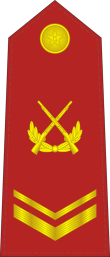 CAPF-0705-SSG.png