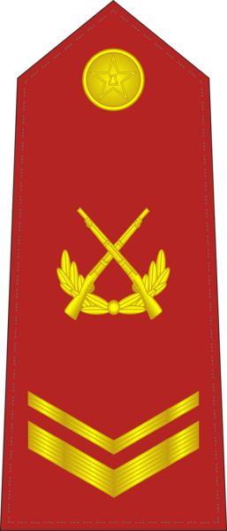 File:CAPF-0705-SSG.png