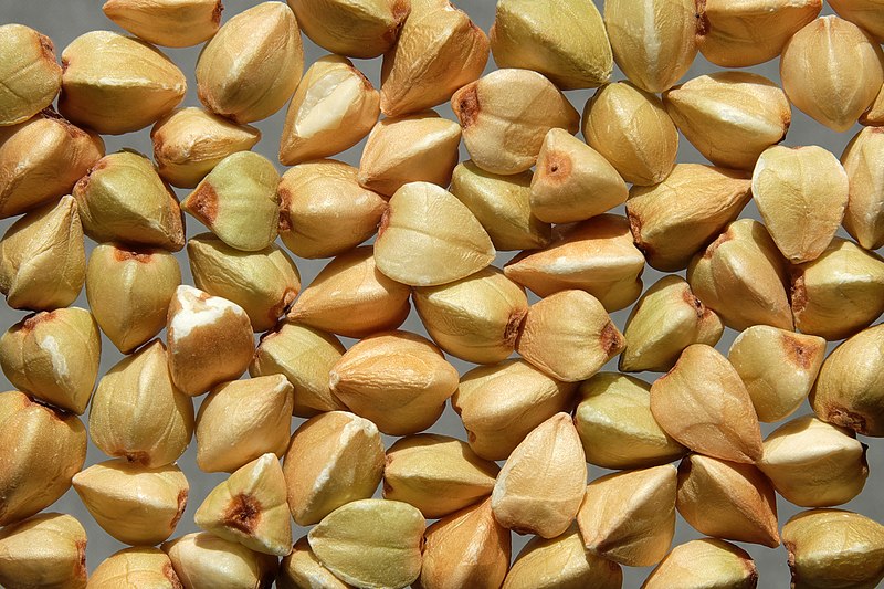 Файл:Common buckwheat grains.jpg