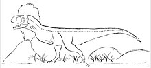 Drawing of Rajasaurus Narmadensis.jpg